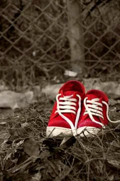Red sneackers on dry grass Stock Photos