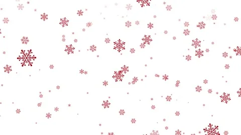 Red snowflakes falling animation on white background Stock Footage 162316205