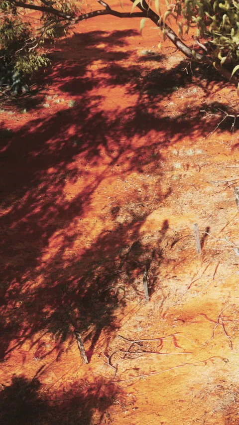 Red soil and shadows on a hillside in a dry landscape during midday 動画素材 337972537