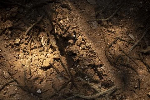 Red soil background with light shapes, natural rocky ground Fotos Stock