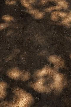 Red soil background with light shapes, natural rocky ground Fotos Stock