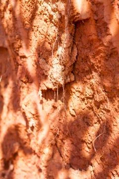 Red soil background at Seychelles Stock Photos