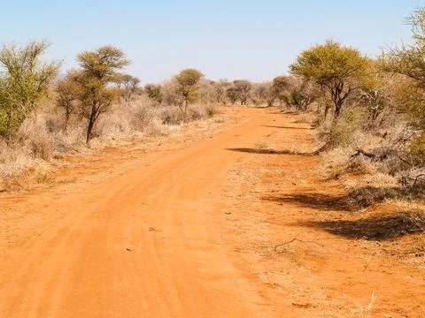Red soil base to track winding through South African bush Stock Photos