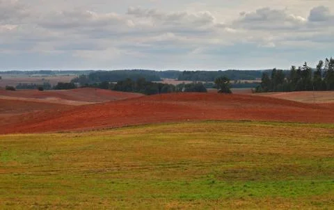 Red soil fields Stock Photos