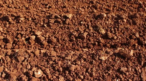 Red soil Video stock 47726479