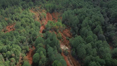 Red soil forest aerial view in Amealco Queretaro with green pine trees drone POV Stock Footage 344593365