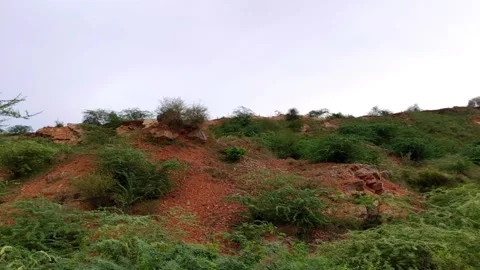 Red Soil Hillside with Green Shrubs and Wild Trees Under Overcast Sky Stock Footage 340561070