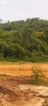 Red soil landscape with forest trees and natural terrain Stock Photos