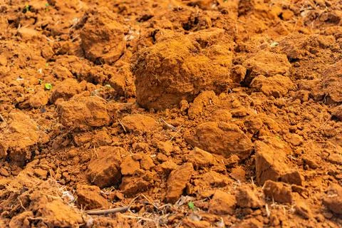 Red soil. Foto stock