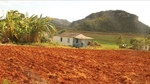 Red soil in Pinar del Rio, Cuba. Country shack Stock Footage 45521836
