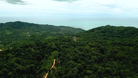 RED SOIL ROAD IN THE FOREST DRONE VIDEOS- Stock Footage 337817466