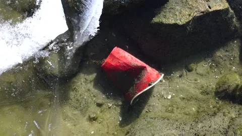 Red Solo Cup in the Lake Stock Footage 233237680