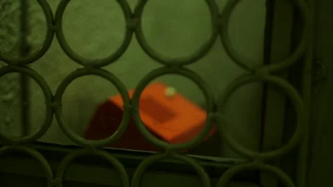 Red Soviet-era Intercom with One Button Behind Bars Stock Footage 293745928