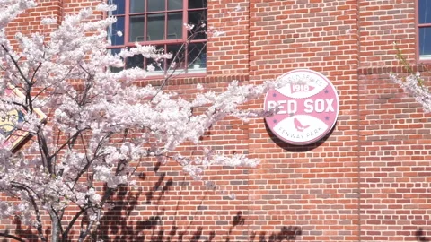 RED SOX SIGN - BRICKWALL Stock Footage 193742540