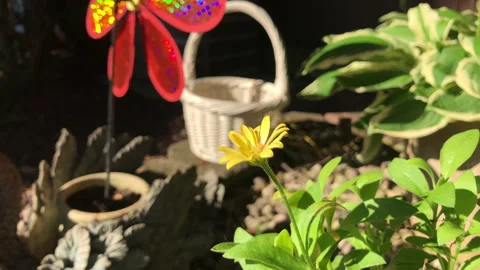 Red Sparkle Pin Wheel Spins In a Garden Reflecting Sunlight and Shadows Stock Footage 277516005