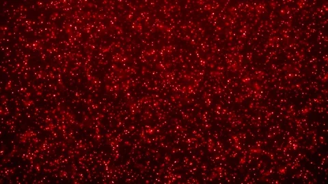 Red sparkling background Stock Footage 317331906