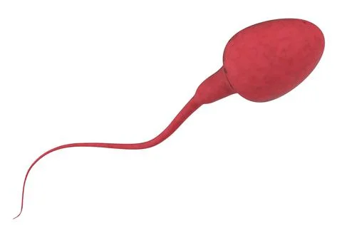 Red sperm isolated on white Stock Photos