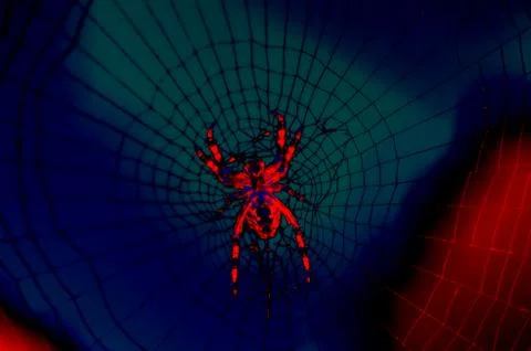 Red spider Stock Photos