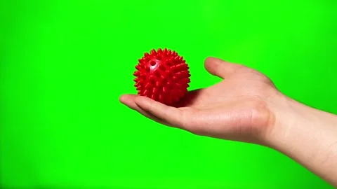 A red spiky massage ball held in a hand against a green screen background. Video stock 280366149