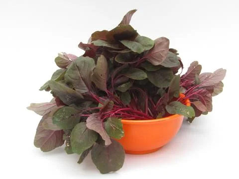 Red spinach in a bowl Stock Photos