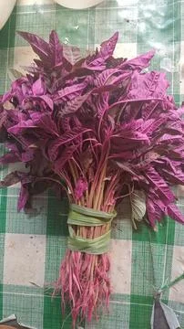 Red spinach vegetables Stock Photos