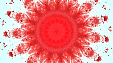 A red spinning mandala circle on a white background Stock-Footage 317796614