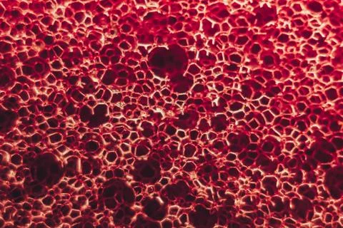 Red sponge closeup Foto stock