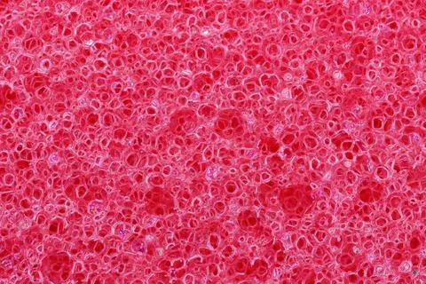 Red sponge Stock Photos