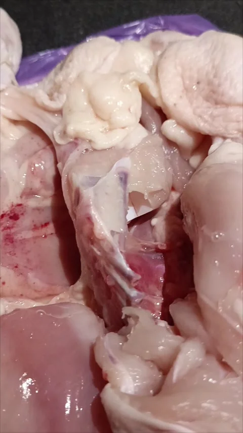 Red spots on chicken meat in closeup Stock Footage 312249587