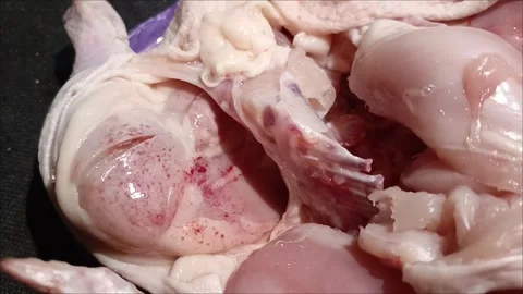 Red spots on chicken meat in closeup Stock Footage 312249613