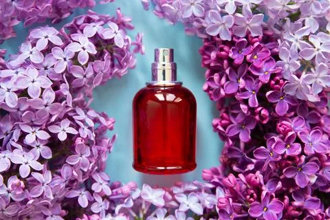 Red spray perfume cosmetic bottle and lilac flowers a lot on blue background Stock Photos