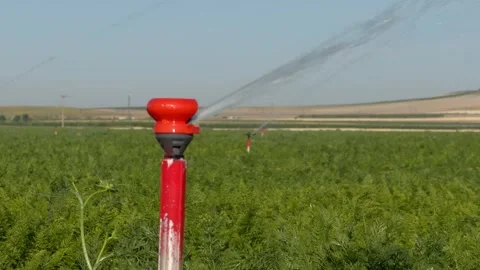 Red Sprinkler Irrigating Green Crop Field in Agricultural Farmland Landscape Vidéo 346765007