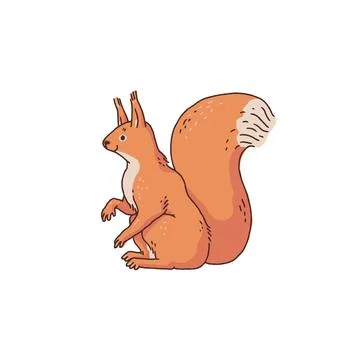Red squirrel side view. Cartoon outline sketch illustration of cute animal Stock Illustration