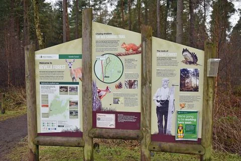 Red Squirrel Trail sign Devilla Forest Stock Photos