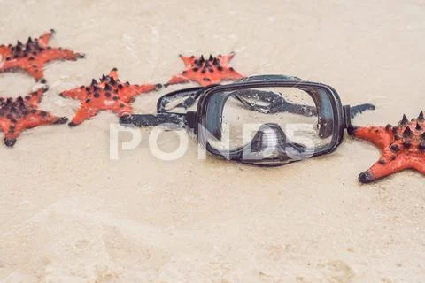 Red starfish and diving mask on the beach Stock Photos