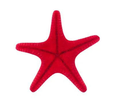 Red starfish with clipping path 스톡 사진