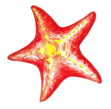 Red starfish Stock Illustration