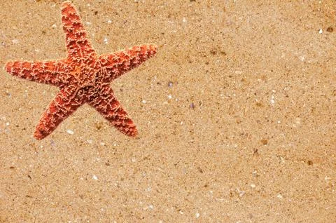 Red starfish over yellow sand background Stockfoto's