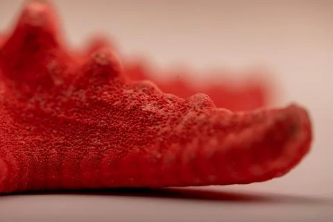 Red starfish surface texture close - up selective focus. Stock Photos