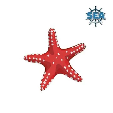 Red starfish on a white background. Isolated drawing in cartoon style Stock Illustration
