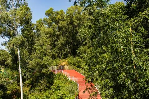 Red Steps on a Sunlit Mountain Path in Chattogram Stock Photos