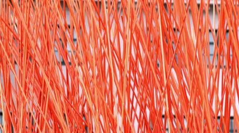 Red sticks in motion Stock Footage 51479828