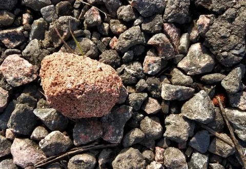 Red stone on a background of small gray stones composition for the background Stock Photos