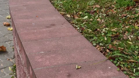 Red stone curb in the park, camera movement Video stock 306151248