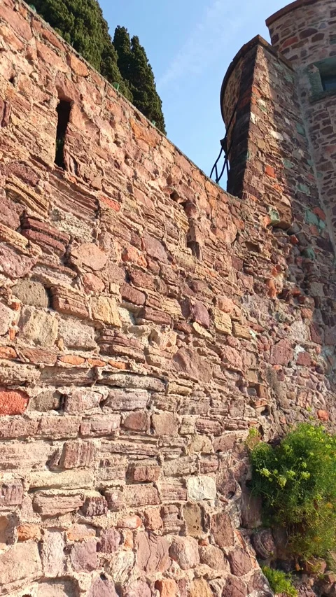 Red stone wall with green plants growing in cracks Stock Footage 346124299