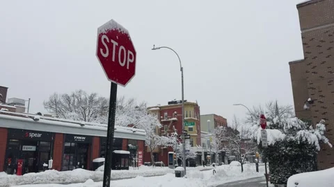 Red Stop Sign Capped with Snow, Brooklyn Intersection, Close-Up 動画素材 329888699