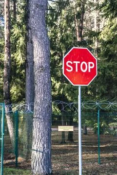 Red stop sign on forest border Stock Photos