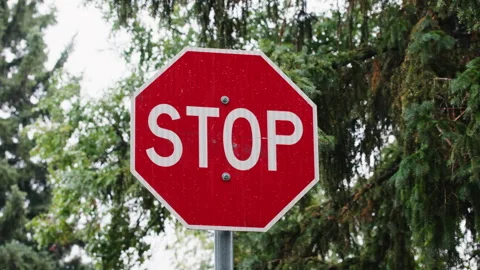 Red Stop Sign Near Pine Tree in Pouring Rain Road Sign Video Stock Footage 346495156
