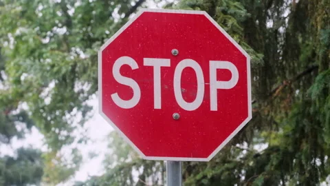 Red Stop Sign Near Pine Tree in Pouring Rain Road Sign Slow Motion Video Stock Footage 346502320