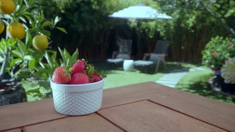 Red Strawberries at Backyard BBQ Stock Footage 155602389